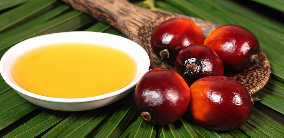 Palm oil regenerates the epidermis